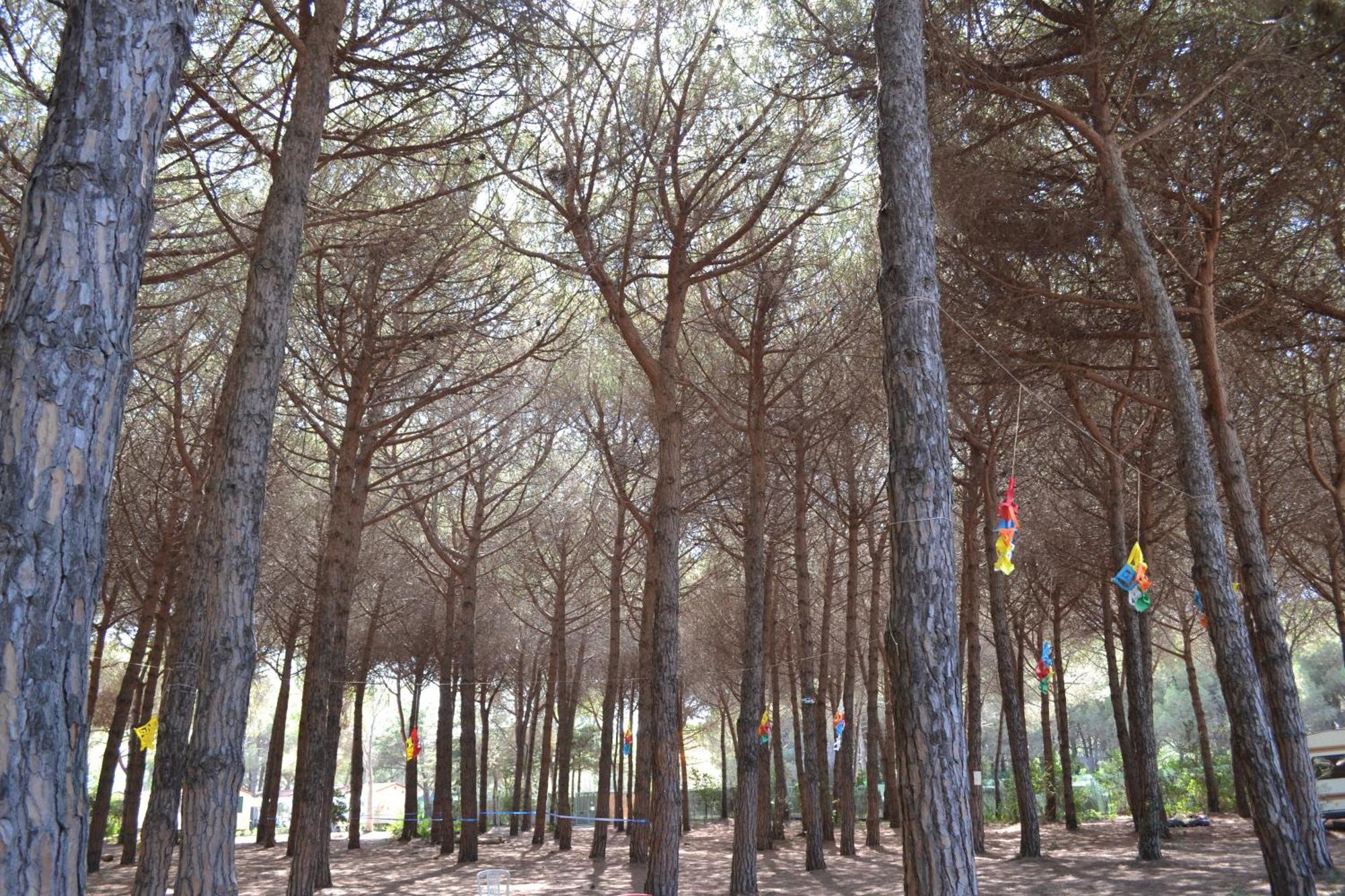 Giannella Camping Orbetello Exterior foto