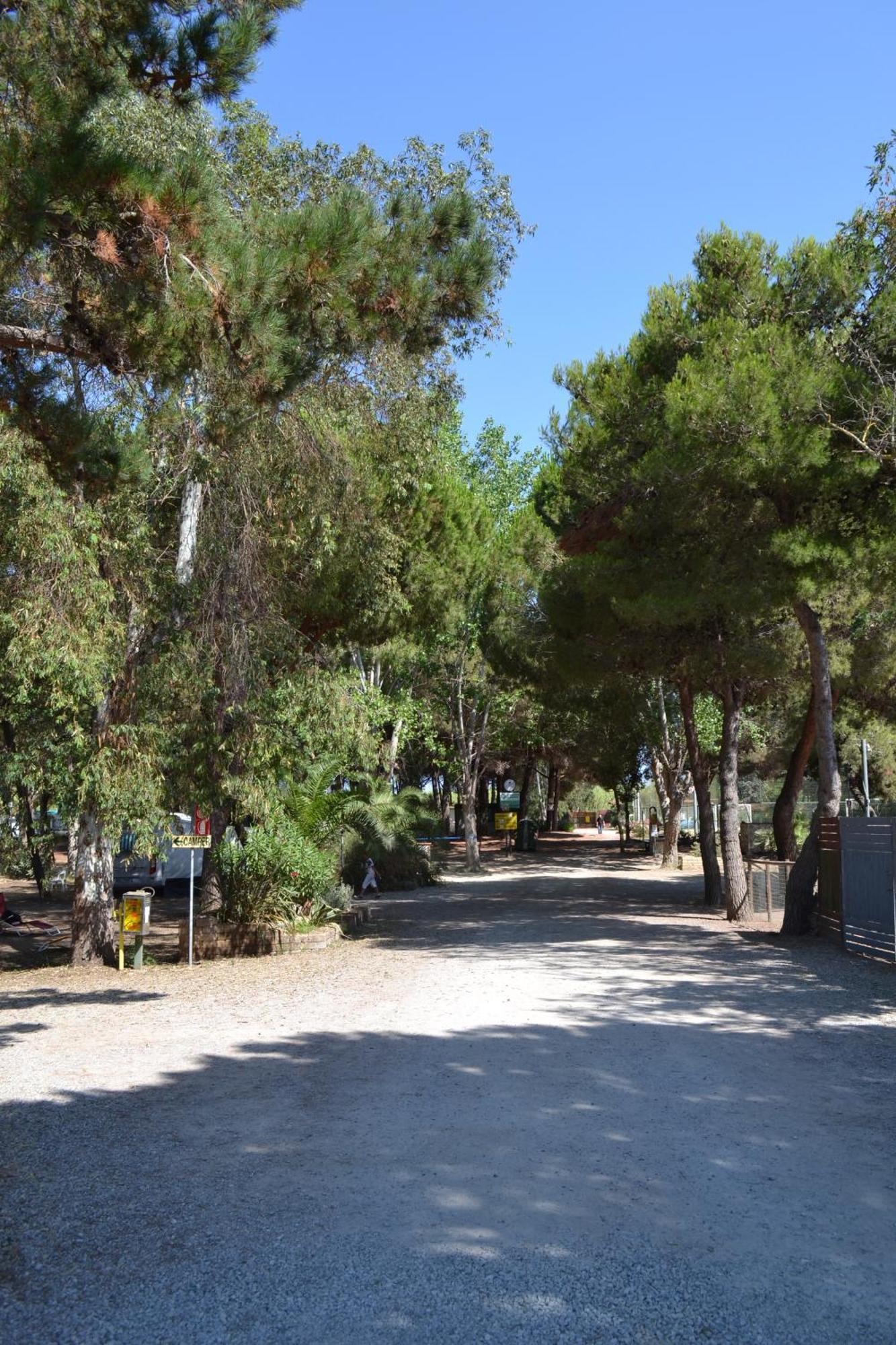 Giannella Camping Orbetello Exterior foto